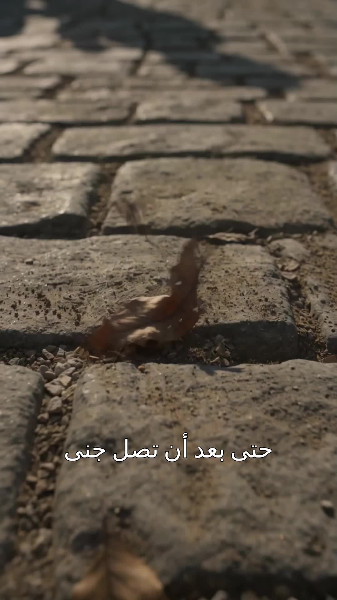 الحلقة 17 - عودة الساحر الأعظم